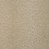 Nourison Carpets
Lusterpoint